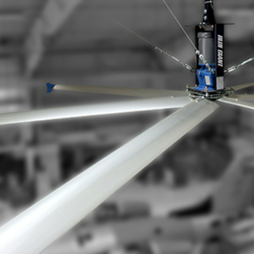 Nortex Fan Eagle VI HVLS Fan | Blue Giant High Volume Low Speed Fan – NorTex Sales ...