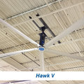 Blue Giant Hawk V - 5 blade hvls fan